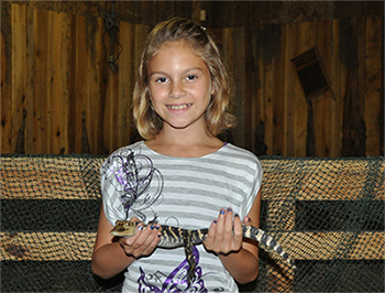 Witness baby alligators with Airboat Adventures near New Orleans.