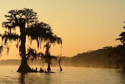 Witness a beautiful Louisiana sunset over the swamps.
