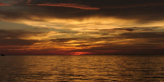 Come take a sunset airboat tour through Louisiana's stunning wetlands.