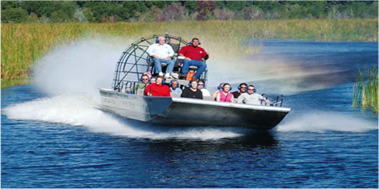 Enjoy an exciting airboat ride through Louisiana's beautiful swamps.