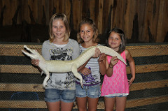 pet an alligator in new orleans, bring the kids on a new orleans swamp tour