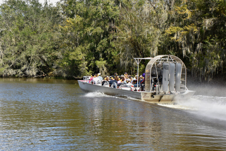 A group of people on an airboat in swamp water