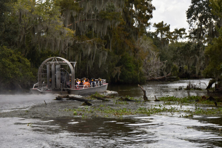 new orleans swamp tours