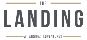 The-Landing-e1589474552831